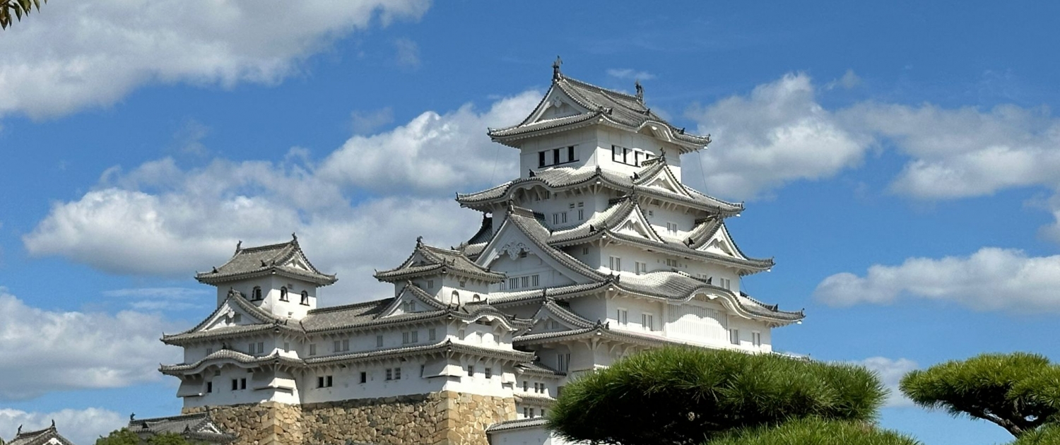 937a1fd6-9c57-4b83-a2e1-1901a17f6246